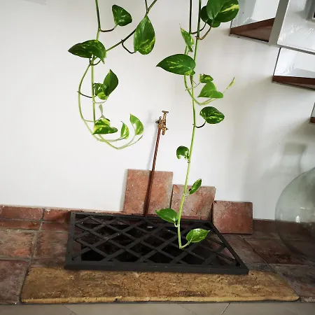 Sicily The Well * Milazzo